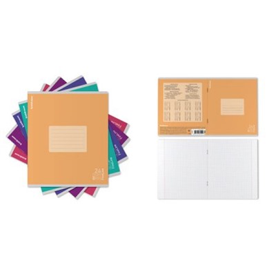 Тетрадь  24л клетка FL MIX-P 60592 ErichKrause