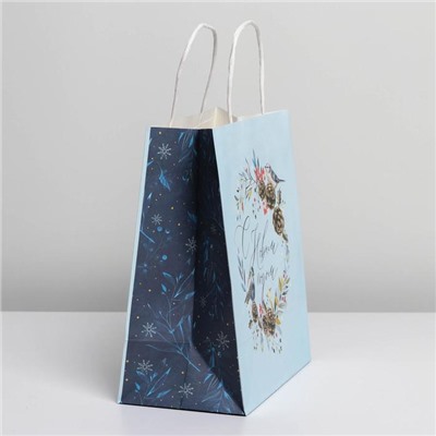Пакет подарочный новогодний крафтовый «Морозное утро», 22×25×12 см