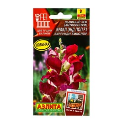 Семена цветов Львиный зев Кракл энд поп F1 бургунди биколор С. Floranova Цветущий балкон, Ц/П,7 шт.