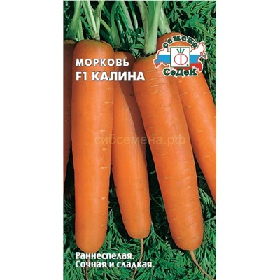 Морковь Калина F1 (Седек)