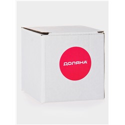 Стакан с двойными стенкам Доляна «Феликс», 250 мл, 9.3×9 см, стекло, прозрачный