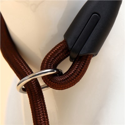 Ринговка для собак, 130×0.8 см, коричневая