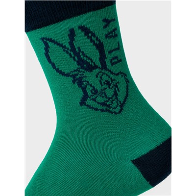 Носки трикотажные для мальчиков, 5 пар в комплекте