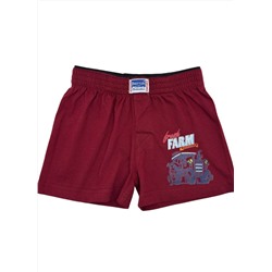 Трусы для мальчика Berrak