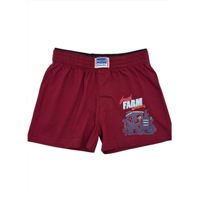 Трусы для мальчика Berrak