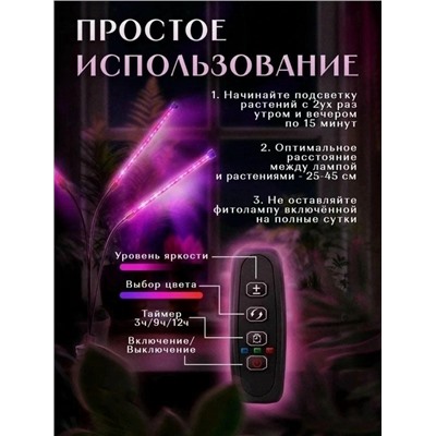 Комплект #23056224