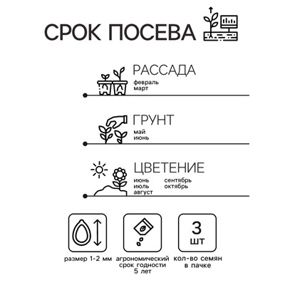Семена цветов Пеларгония "Нано", ц/п,  "Розовая", ц/п,  3 шт
