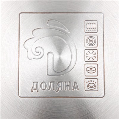 Кастрюля Доляна «Вернер», 2.5 л, d=18 см, с крышкой, капсульное дно, индукция, нержавеющая сталь