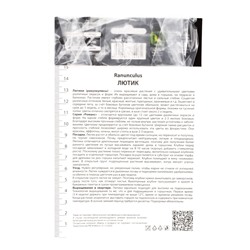 Ранункулюс Романс Параду, I р-р, 1 шт., Весна 2026