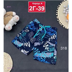 шорты 2053632-3