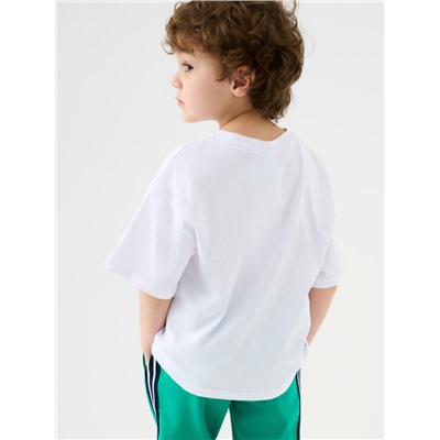 Фуфайка трикотажная для мальчиков (футболка)