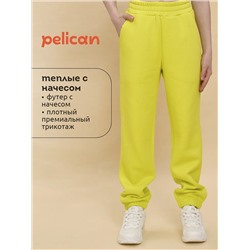 PELICAN Брюки UFPQ4323