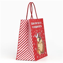 Пакет подарочный новогодний «Спасибо этому году», 22×22×11 см