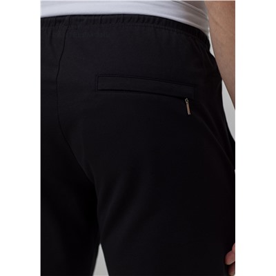 PDB-251 (Брюки мужские, PanteLemone )