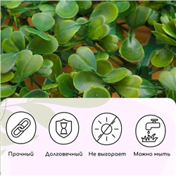 Декоративная панель, 60×40 см, «Мокрица», Greengo