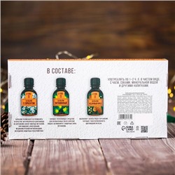 Подарочный набор новогодний, безалкогольных бальзамов 3 шт.×110 мл «Тонизирующий»