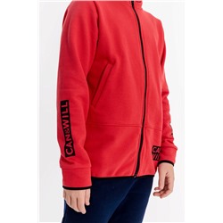 Толстовка М22159Па