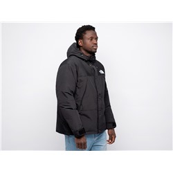 Куртка зимняя The North Face