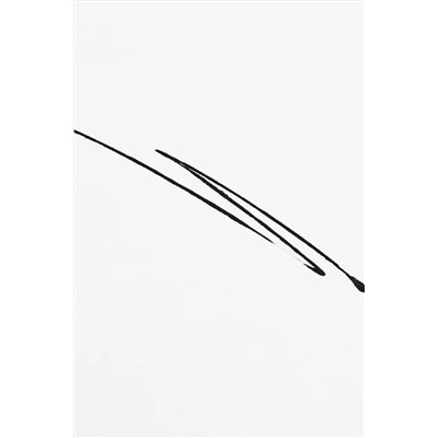 Provoc Жидкая подводка для глаз с роликом / Eyeliner Wheel 01 Matte Black, черный матовый KRISTALLER, 1130527