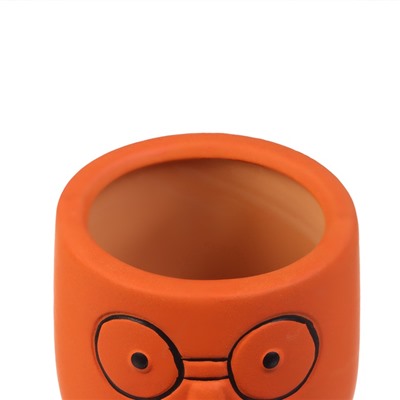 Автополив для комнатных растений «Который выжил», 14×4.6 см, керамика, набор 4 шт., МИКС