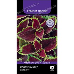 Колеус Визард Скарлет (Код: 93372)