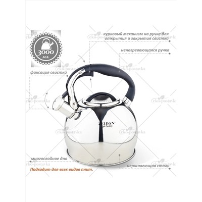 ZEIDAN Чайник Z-4166