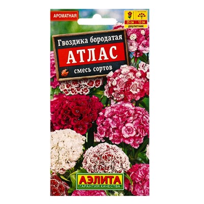 Набор семян цветов Гвоздика турецкая многолетняя