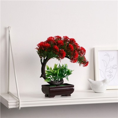 Бонсай искусственный в горшке «Селагинелла африканская», 10×20 см, МИКС