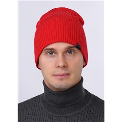 ЭЙС Шапка 423659хпэ