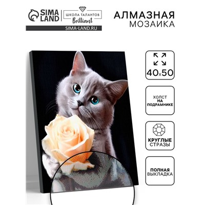 Алмазная вышивка полное заполнение «Котенок с розой», на раме, 40×50 см