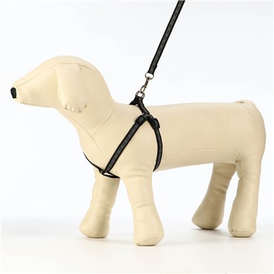 Шлейка с поводком «Косточки», ОШ 22-34 см, ОГ 22-34 см, поводок 1×120 см, светоотражающая, чёрная