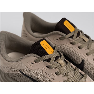 Кроссовки Nike Pegasus Plus