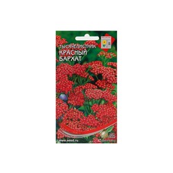 Набор семян Тысячелистник "Ахиллея", 5 шт.