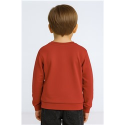 Свитшот для девочки ROC25