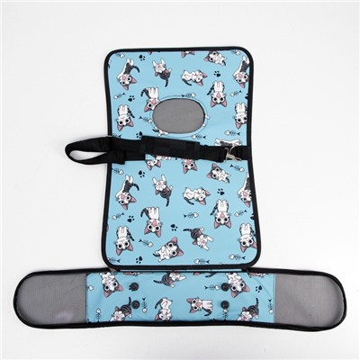 Сумка - переноска для животных «Играющие котики», размер M, 40×21×27 см голубая