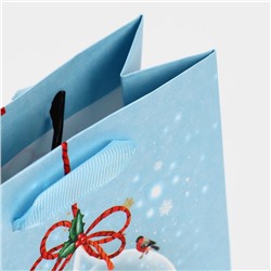 Пакет подарочный новогодний ламинированный «Нежность», 12×15×5.5 см