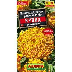 Бархатцы Купид золотистые (Код: 93524)