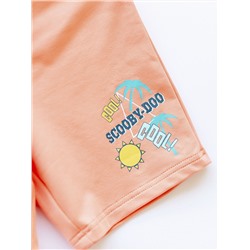 BATIK Шорты 0017_ЛС22