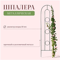 Шпалера «3 кольца», 200×48×1 см, металл, зелёная