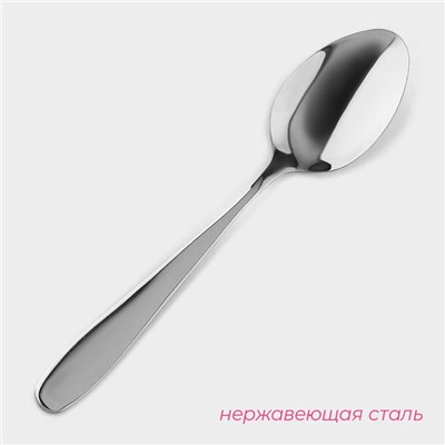 Набор ложек столовых Доляна «Симпли», длина 20.5 см, 6 шт., нержавеющая сталь, серебристый