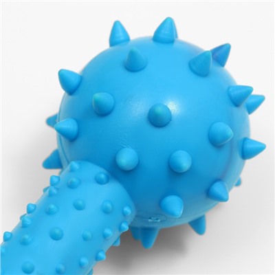 Жевательная игрушка для собак «Грозная гантель», 15×5 см, синяя