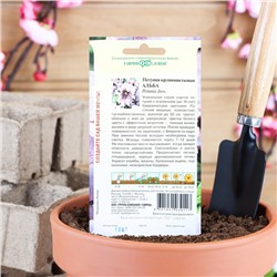 Семена цветов Петуния "Альба" бахромчатая, О, пробирка, ц/п, 7 шт.