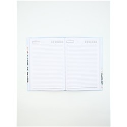 Ежедневник классический 7БЦ А5, 80 л «Карусель»