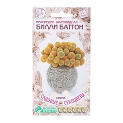 Семена цветов Краспедия шаровидная «Билли Баттон», многолетник, сухоцвет, 0.05 г, «Евросемена»