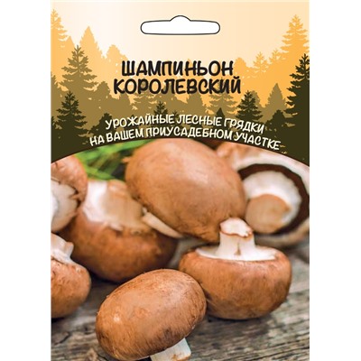 Гриб Шампиньон КОРОЛЕВСКИЙ Ур.Дачн.