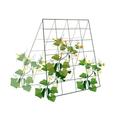 Шпалера для огурцов, двухсторонняя, 118×78 см, металл