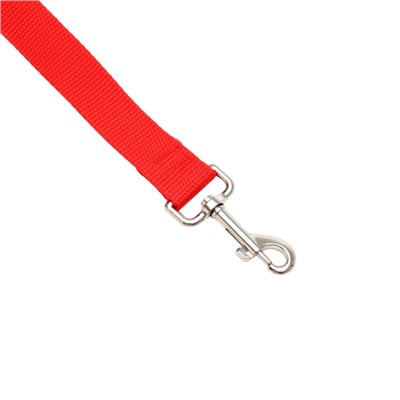 Поводок 3 м × 2.5 см, красный