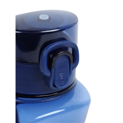 Бутылка для воды «Мастер К», 550 мл, 23.5×6.7 см, синяя