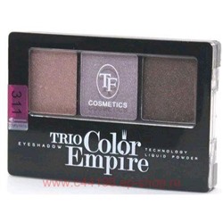 Triumph Тени для век трехцветные тон 311 Песчаная дюна CTE22 35 гр