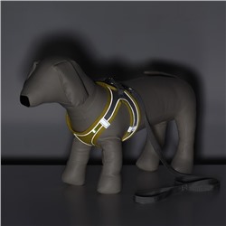 Комплект с мягкой шлейкой, быстросъемный, M, поводок 140×1.5 см, ОШ 38-44 см, ОГ 44-50 см, жёлтый